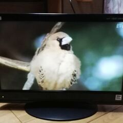 19型テレビ