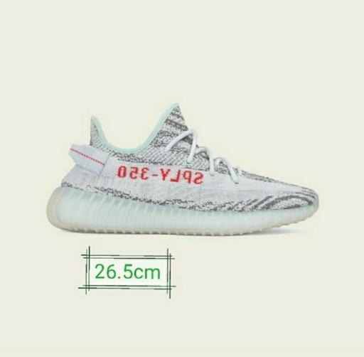 その他 YEEZY BOOST 350 V2 \