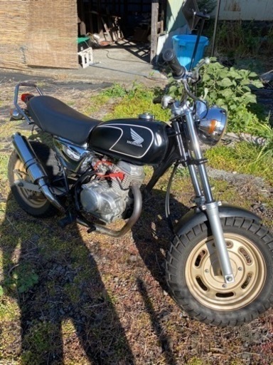 HONDA  エイプ50 APE50 実動車