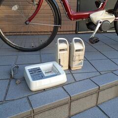 ブリジストンAngelino