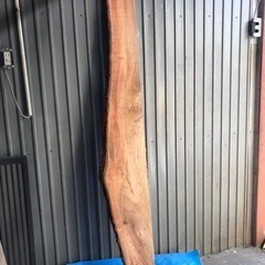 【ネット決済】楠木　クス　一枚板　天然木　無垢板 板