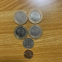 【ネット決済】トルコ　通貨　コイン