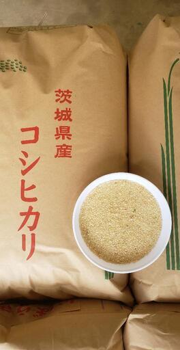 ねぎ 20キロ 茨城産