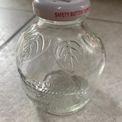 【ネット決済】アップルジュース（Martinellis）の空瓶