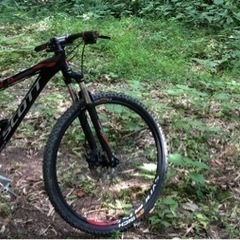 SCOTT MTB 29er