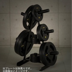 期間限定値下 アイロテック オリンピックバーベル174kセット プレート 