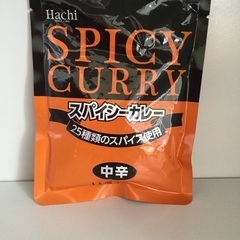 Hachi スパイシーカレー中辛180g