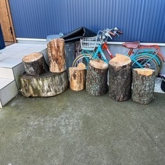松の木の丸太　薪