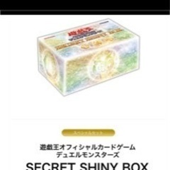 【ネット決済】シークレットシャイニーBOX 10箱セット