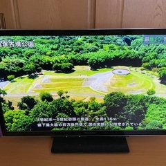 パナソニック　液晶テレビ　TH-L37DT3