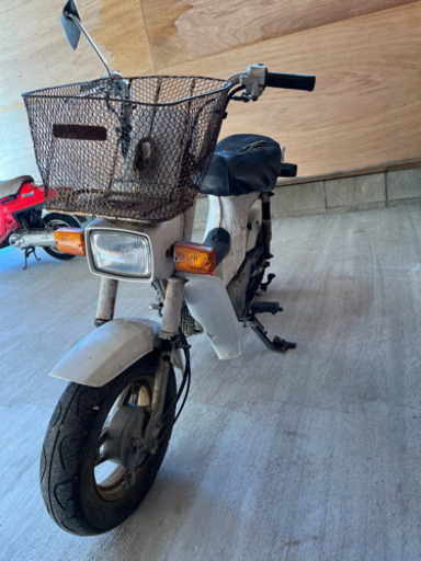 ホンダ シャリー（CF50）現状販売 書類付 不動車 旧車 4ミニ ダックス 千葉