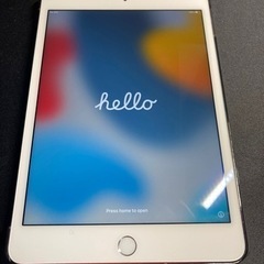 iPad mini 4 16GB