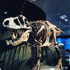 恐竜好き、化石好きさん語りましょう！の画像