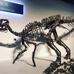 恐竜好き、化石好きさん語りましょう！ − 東京都