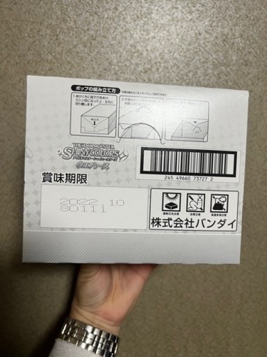 はな 雪羽】初のバーチャル痛機——ボーイング737-800「雪羽号」登場