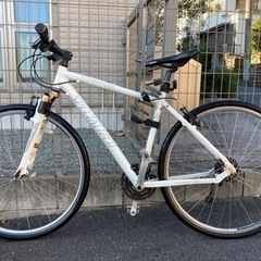 Specialized 24段変速クロスバイク