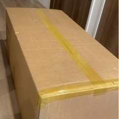 サバティカル　スカイパイロットtc