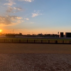 メンバー募集🐴競馬グループ🐴愛知県