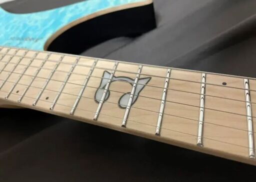 Strandberg Boden RAS 6 エレキギター ストランドバーグ