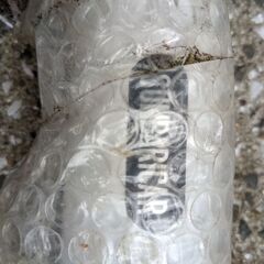 中型Ｕパイプ安全サク車止め立入禁止柵未使用1万円売 中型Uパイプ安全サク車止め立入禁止柵未使用1万円売