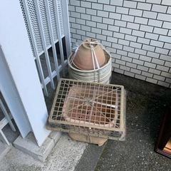 鉢植え関連