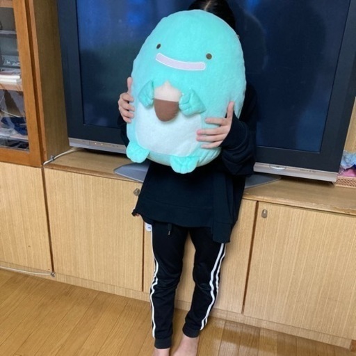 すみっコぐらしとかげ 本物 ぬいぐるみ Hia 浪岡の子供用品の中古あげます 譲ります ジモティーで不用品の処分