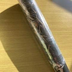 少年野球バット　MIZUNO ビヨンドマックス　ギガキング