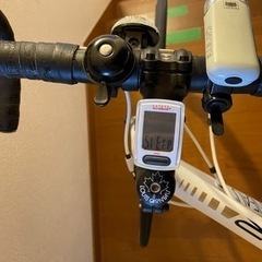 ロードバイク　ルイガノ　白