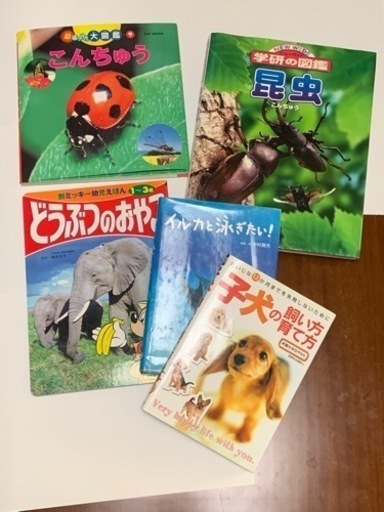本　英会話　絵本　Reading Book 問題カード　機械　漫画