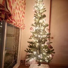 クリスマスツリー、電飾、オーナメント付き