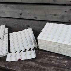 紙製たまごパック　（昆虫の飼育などに）１箱22枚