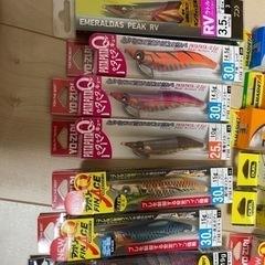 エギ　早い者勝ち　