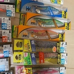 エギ　早い者勝ち　