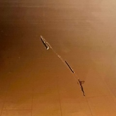 お取引者様確定シャープ 取りに来てくださる方　冷蔵庫　プラズマクラスター　440L お値下げも！