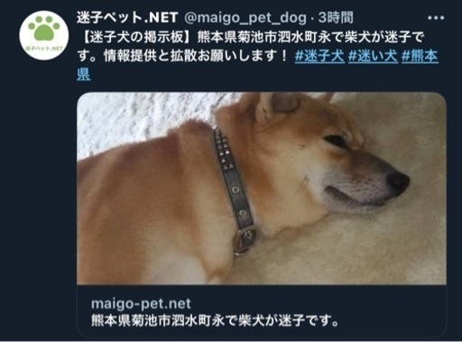 犬探してます 本当に困ってます 御礼します うちの犬探してます 三里木の手伝って 助けての助け合い ジモティー