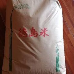 令和三年産　徳島県阿波市産コシヒカリ⑧　玄米30kg