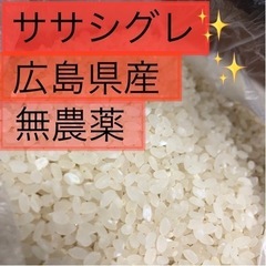 無農薬[白米]ササシグレ【5kg】