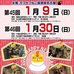 1/30(日)　猫の譲渡会　in　名古屋市千種生涯学習センター