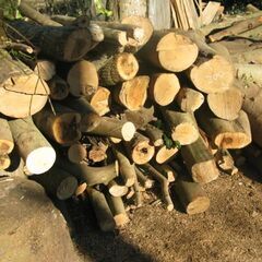 広葉樹　薪、生木玉切済、未乾燥、軽トラ一杯の価格