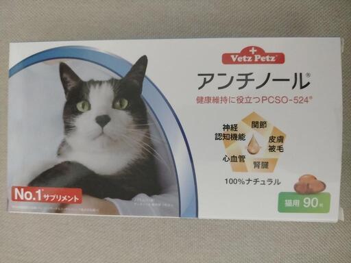 アンチノール　猫