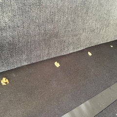 かなり大きいソファ