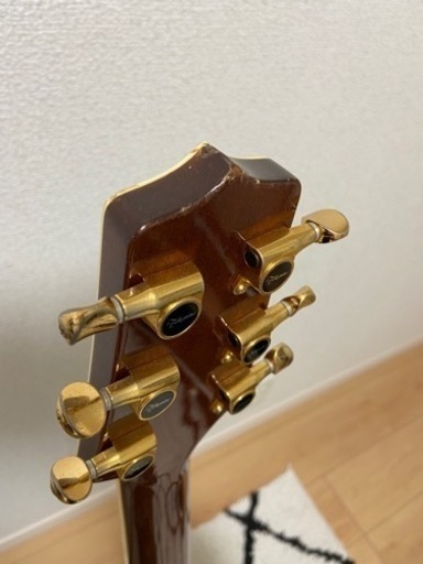 ジャンク品 タカミネ エレアコ NPT-110 | procomm.ca