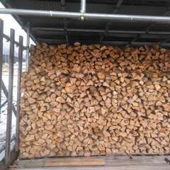 1年乾燥薪（広葉樹）③