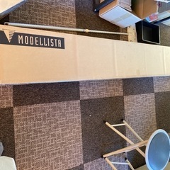 50プリウスﾓﾃﾞﾘｽﾀのサイドステップ運転席側