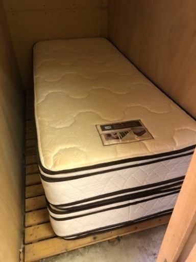 Sealy ポスチャーテックコイル マットレスx2 | www.redpillrh.com.br