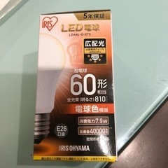 【ネット決済】LED電球　60型