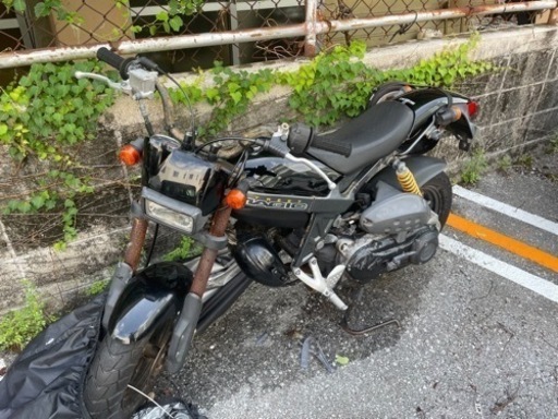 低走行】SUZUKI ストリートマジック 50CC | cedem.com.br