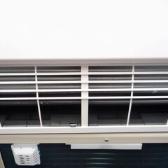 ☆日立 HITACHI RAS-DM22LE9 白くまくん 冷暖房除湿 家庭用ルーム