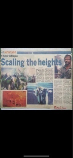 購入 スリランカ 油絵 ギャラリー キャンパス 