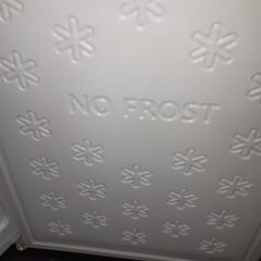 ハイアール冷蔵庫！!